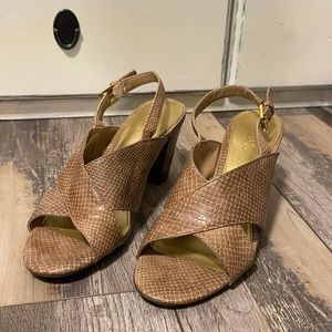 Chaps snakeskin slings